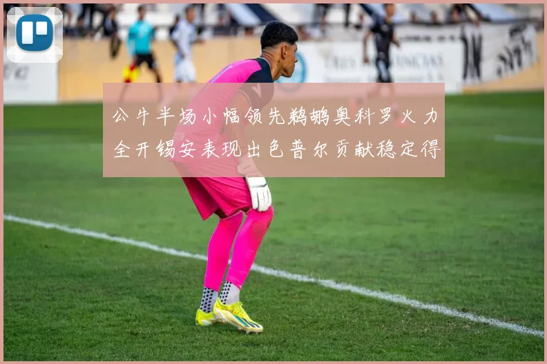 公牛半场小幅领先鹈鹕奥科罗火力全开锡安表现出色普尔贡献稳定得分