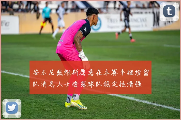 安东尼戴维斯愿意在本赛季继续留队消息人士透露球队稳定性增强