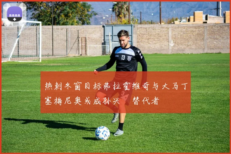 热刺冬窗目标弗拉霍维奇与大马丁塞梅尼奥或成孙兴慜替代者