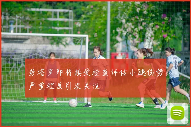 劳塔罗即将接受检查评估小腿伤势严重程度引发关注