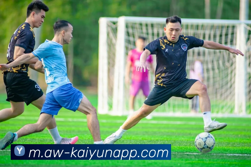 多媒体互动体验