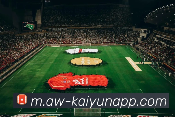 开云体育APP 高清赛事图